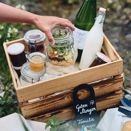 Dachsteingasse By Schladming-appartements Apartment